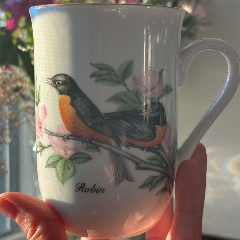 Vintage porcelain tea cup John James Audubon Porcelain 1985 "Robin"